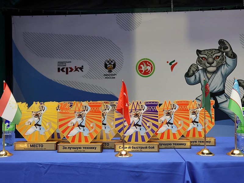 «Кубок Ак Барс» по карате: итоги соревнований в Казани